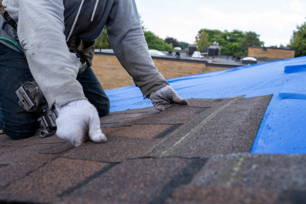 Professional Roofing Contractor in East Lexington, VA