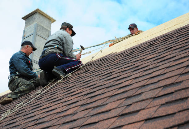 Quick and Trustworthy Emergency Roof Repair Services in East Lexington, VA